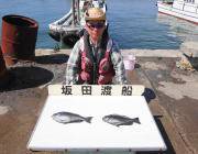 納得サイズをゲット　黒島の磯グレ