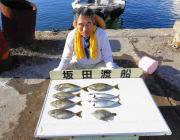 黒島の筏でアイゴ・サバ