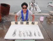 黒島の磯　エギングでアオリイカの新子7ハイ…