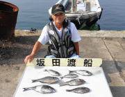 黒島の磯、沖アミでグレ&アイゴ