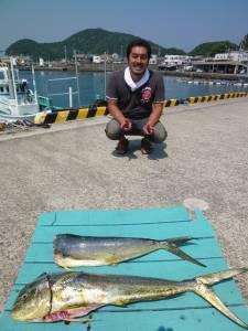 飲ませでシイラ100cm！沖一文字内向き