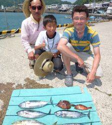 神谷沖一文字内向きでカゴ釣り　脂ののったゴマサバ