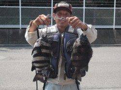 大磯での底物狙い　イシダイ2枚をキャッチ！