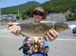 神谷沖一文字　カゴ釣りでイサギ・サバ　のませでシオ50cm