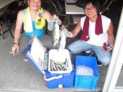 大磯でツバス・カマスの釣果☆