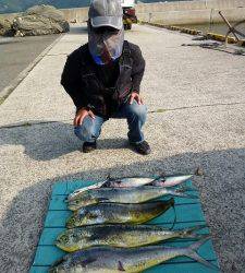 沖一文字内向き、のませで90cmのシイラもあがっています