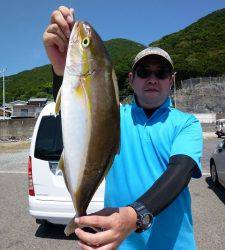 鯵の飲ませ釣りでカンパチ！神谷沖一文字
