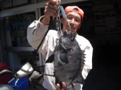 大磯　ウニをエサに石鯛38cm