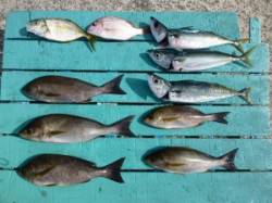 沖一文字内向きでの夜通し釣りの釣果☆