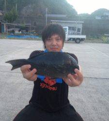 磯で半夜釣り、尾長グレの姿も