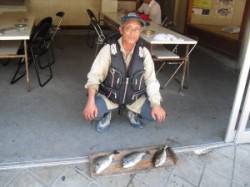 キハチ磯、フカセ釣りでチヌ＆アイゴの釣果