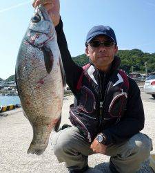 ヒラスズキがつれました！沖一文字で飲ませつり