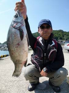 ヒラスズキがつれました！沖一文字で飲ませつ…