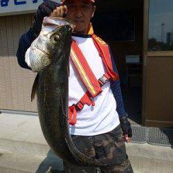 キャスティングでハマチ in 湯浅の磯