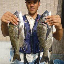 湯浅の磯　紀州釣りで良型チヌ