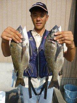 湯浅の磯　紀州釣りで良型チヌ