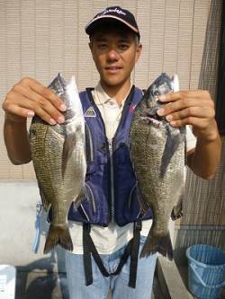 湯浅の磯　紀州釣りで良型チヌ