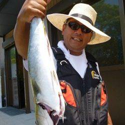 キャスティングでハマチ in 湯浅の磯