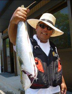 キャスティングでハマチ in 湯浅の磯