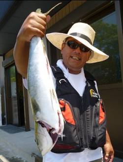 キャスティングでハマチ in 湯浅の磯