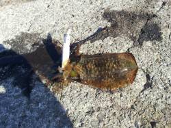 小島でエギング、明るくなりだすとともにポツ…