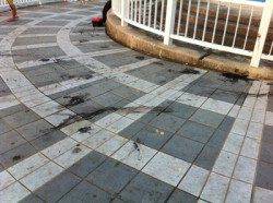 マリーナ大波止　天秤カゴ釣りでマルアジ＆ヒラアジ！