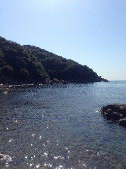 家島　エギング日和りも激渋…小型ながらもサイトヒット