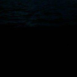 西宮でタチウオワインド、棚は着水後5～10秒ほど！