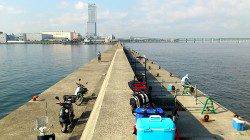 泉佐野前島タチウオ狙いから新子アオリとの出会い♪