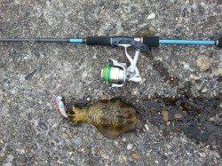 深日漁港　友人とエギングでアオリイカ釣行☆　newロッドの墨付完了