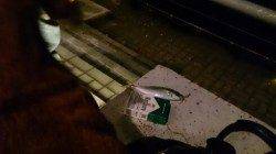 天保山へアジング調査　少しサイズUP！