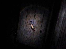 加太漁港でアジング、雨が降り出しましたがなんとかメバル・アジGET