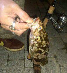 舞洲　仕事帰りの天保山でガシリング