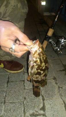 舞洲　仕事帰りの天保山でガシリング