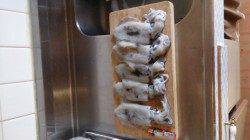 小島でエギング、アオリイカ9杯、ケンサキ１杯