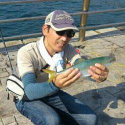 翼港でノマセ釣り　苦労してツバス・メジロGET★