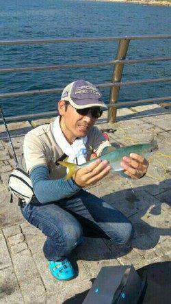 翼港でノマセ釣り　苦労してツバス・メジロGET★