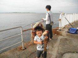 南港海釣り公園　サビキでアジ園内1000匹　他アコウ・ガシラも