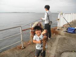 南港海釣り公園　サビキでアジ園内1000匹…