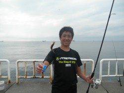 南港海釣り公園　サビキでアジ園内1000匹　他アコウ・ガシラも