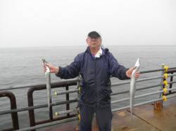 大阪南港海釣り公園、サビキ好調・今期初お目…