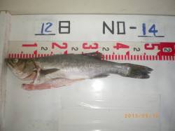 アジをエサにハネをゲット　姫路市立遊漁セン…