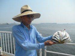 【まだまだ暑い一日です】南港海釣り公園でアジ・ガシラ