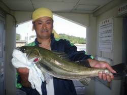 シラサエビで立派なスズキが釣れました♪姫路…