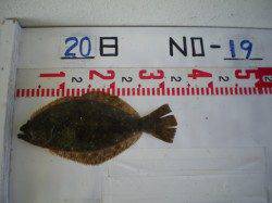 シラサエビで立派なスズキが釣れました♪姫路市立遊漁センター