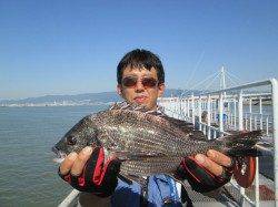 尼崎市魚つり公園、フカセでチヌ10枚の釣果あり！