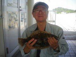 姫路市立遊漁センターではサビキでヒラメが釣れました