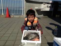 釣り少年がサビキで立派なチヌを釣り上げまし…