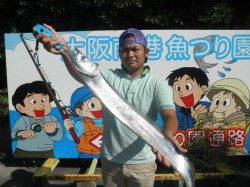 大阪南港海釣り公園立派なタチウオもあがっています♪