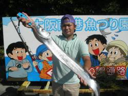 大阪南港海釣り公園立派なタチウオもあがって…